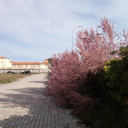 Casa Nel Parco Sulla Spiaggia Pisa Exteriör bild