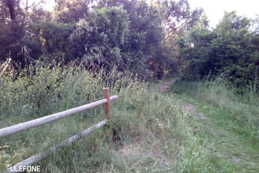 Casa Nel Parco Sulla Spiaggia Pisa Exteriör bild