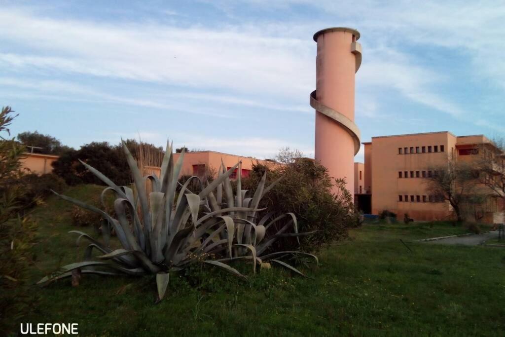 Casa Nel Parco Sulla Spiaggia Pisa Exteriör bild