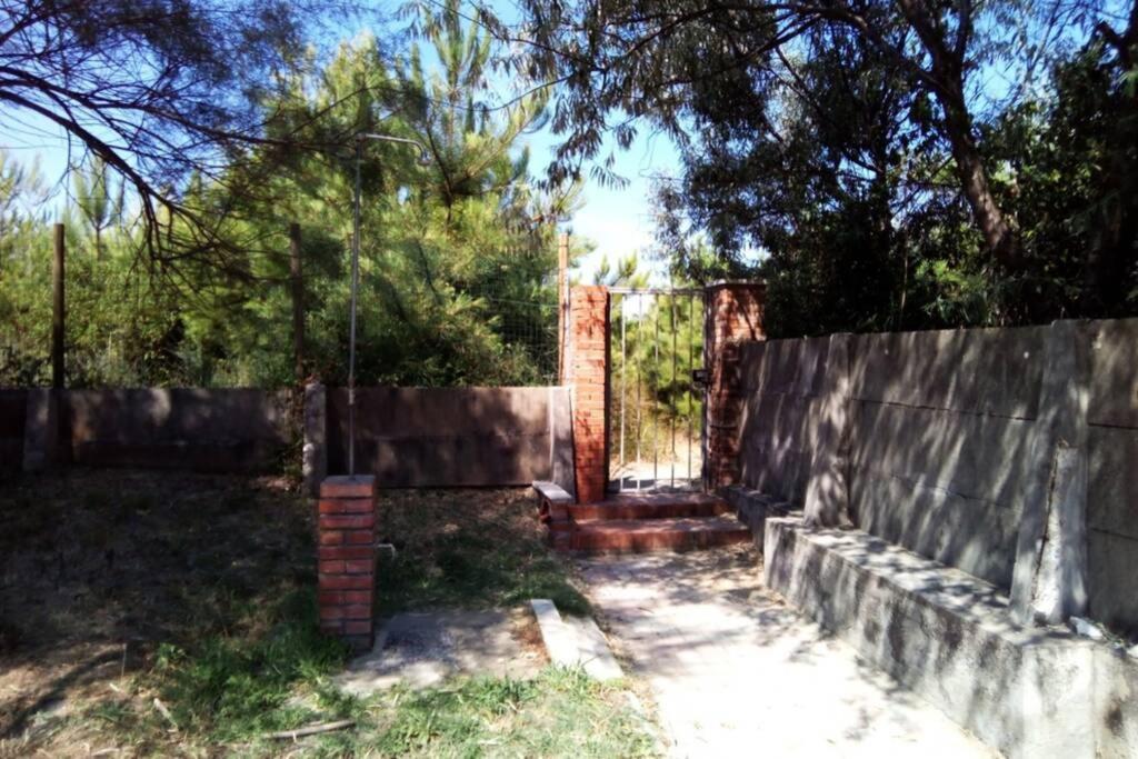 Casa Nel Parco Sulla Spiaggia Pisa Exteriör bild